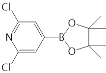 2,6-二氯吡啶-4-硼酸嚬哪醇酯