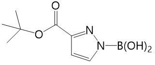 1-(叔丁氧基羰基)-1H-吡唑-3-基-硼酸